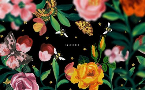 gucci supreme laptop wallpaper|aesthetic Gucci wallpaper.